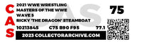 2021 Mattel Masters of the WWE Carded Action Figure - Ricky 'The Dragon' Steamboat ITEM # WWE106